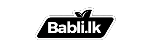Best Laptop Store